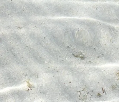 Apartment Vista Mare Rivabella Gallipoli